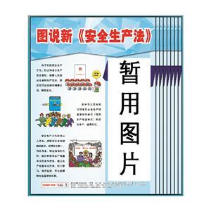 (预售)图说新《中华人民共和国安全生产法》宣教挂图（8张/套 53×75cm）