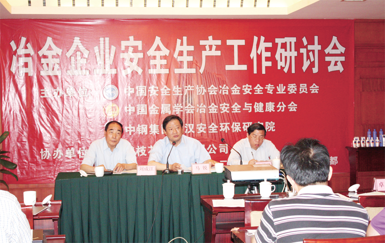 中国安全生产协会分支机构工作回顾与展望