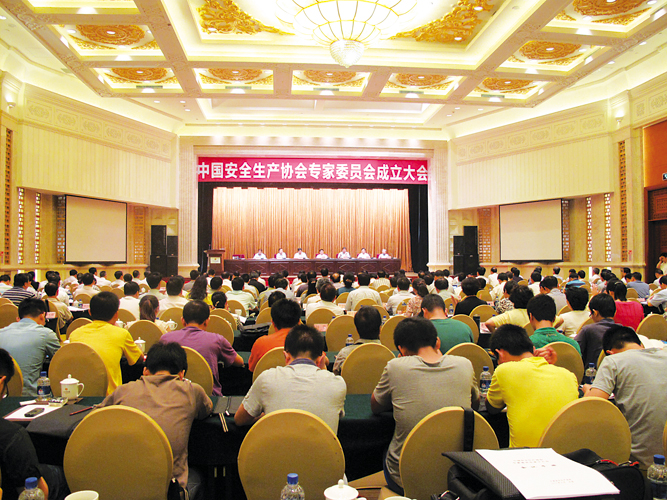 中国安全生产协会专家委员会在京成立