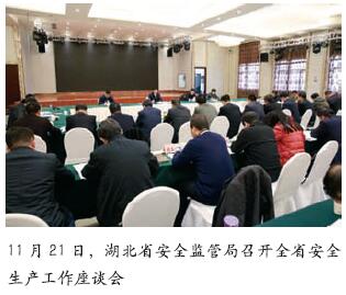 湖北省召开全省安全生产工作座谈会